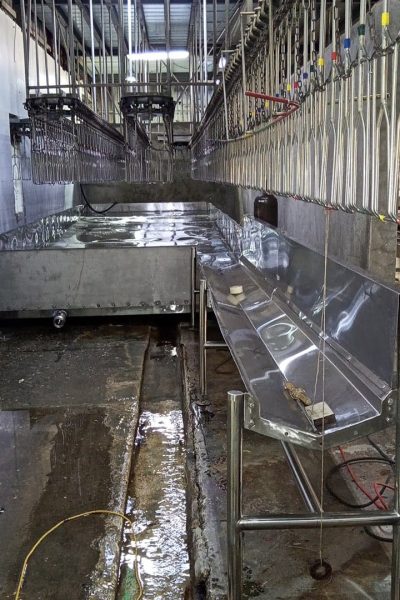Fabricacion Canal Sangrado Degolladores